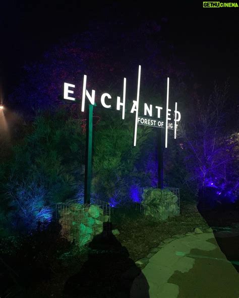 Enchanted Forest brabet